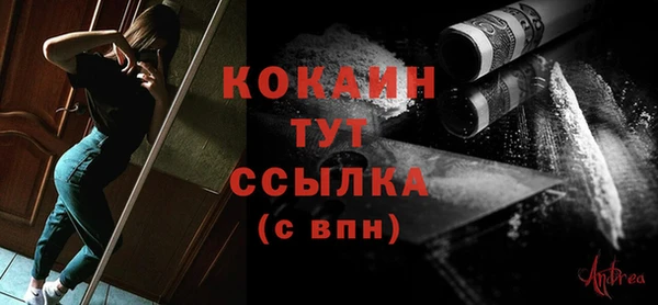 прущий лед Богданович