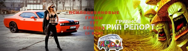 дурь Богородск